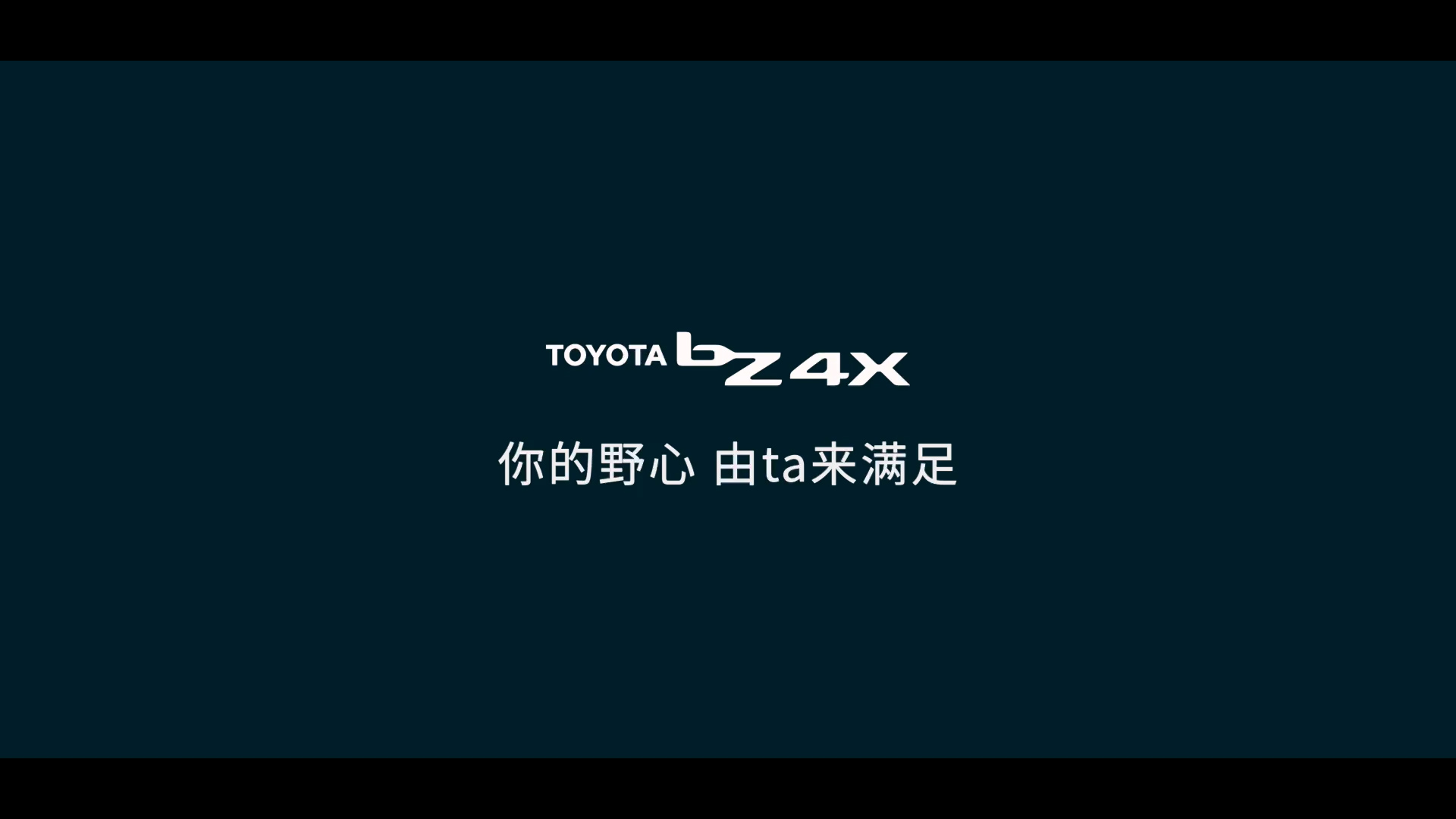 活动片